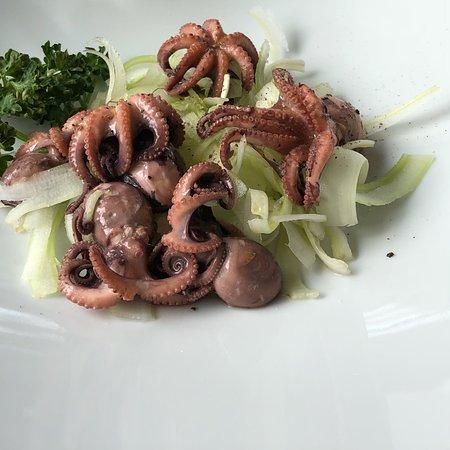 Stadio Bar Pizzeria Trattoria